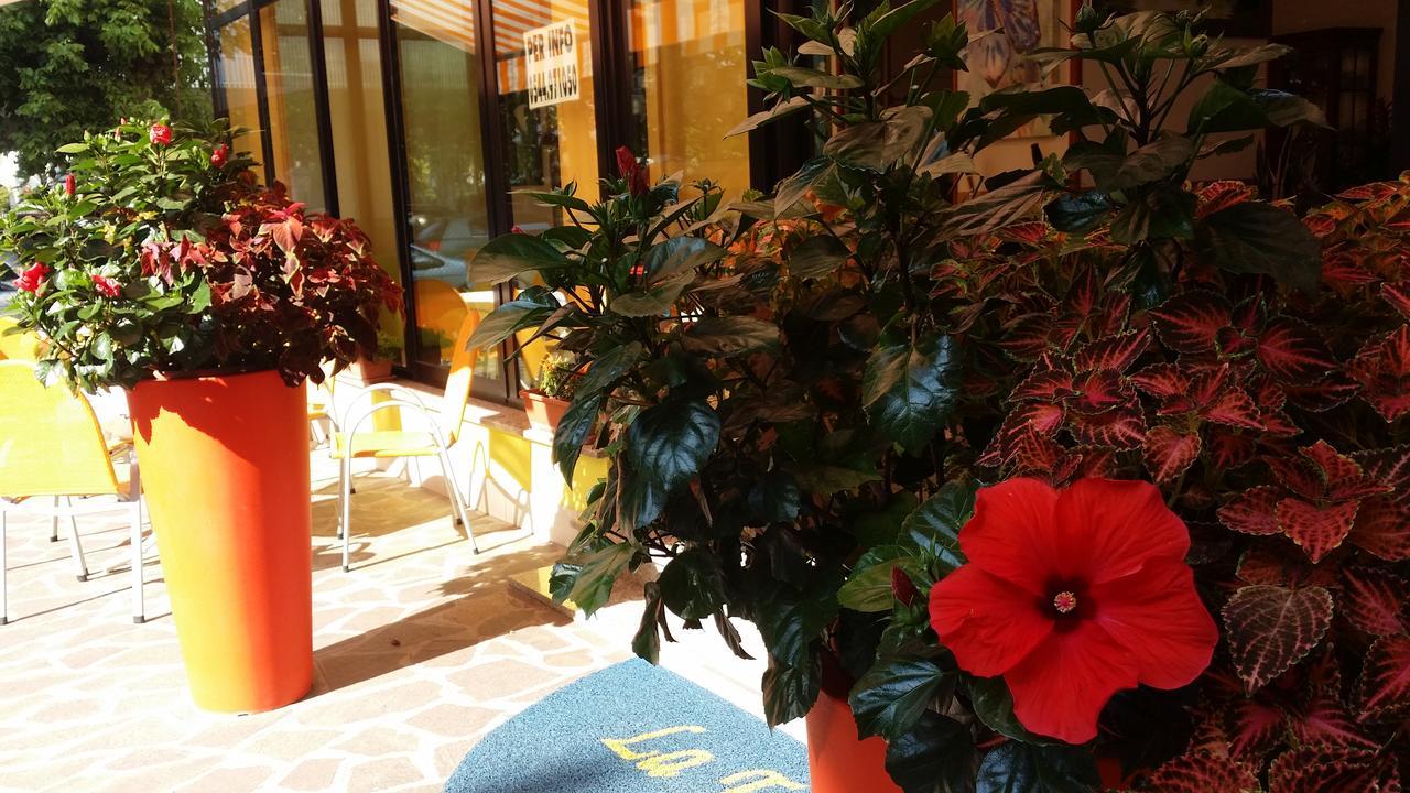 Hotel La Falena แชร์เวีย ภายนอก รูปภาพ